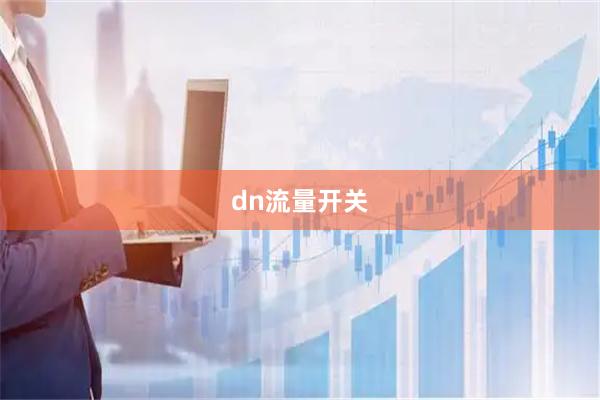 dn流量开关