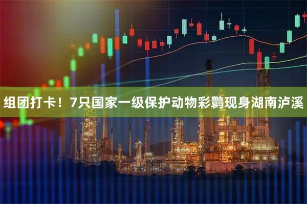 组团打卡！7只国家一级保护动物彩鹮现身湖南泸溪