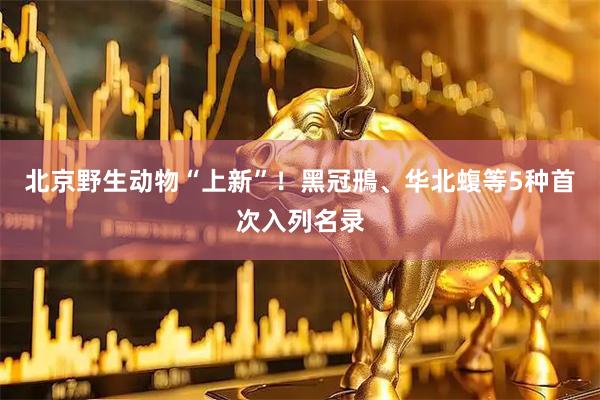 北京野生动物“上新”！黑冠鳽、华北蝮等5种首次入列名录